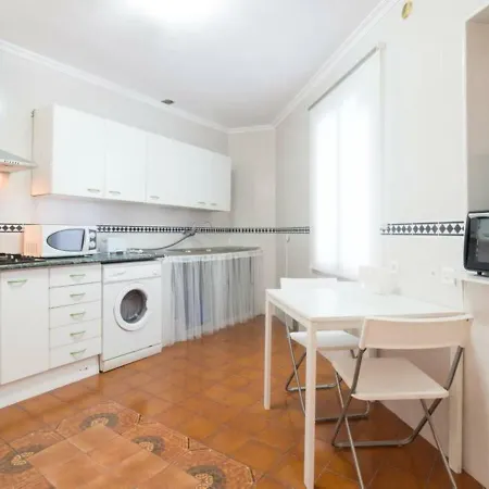 Larios Penthouse With Terrace And 2 Bedrooms * Malaga
