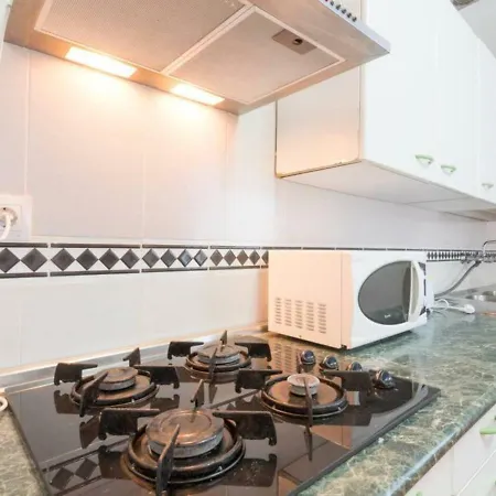 Larios Penthouse With Terrace And 2 Bedrooms Malaga